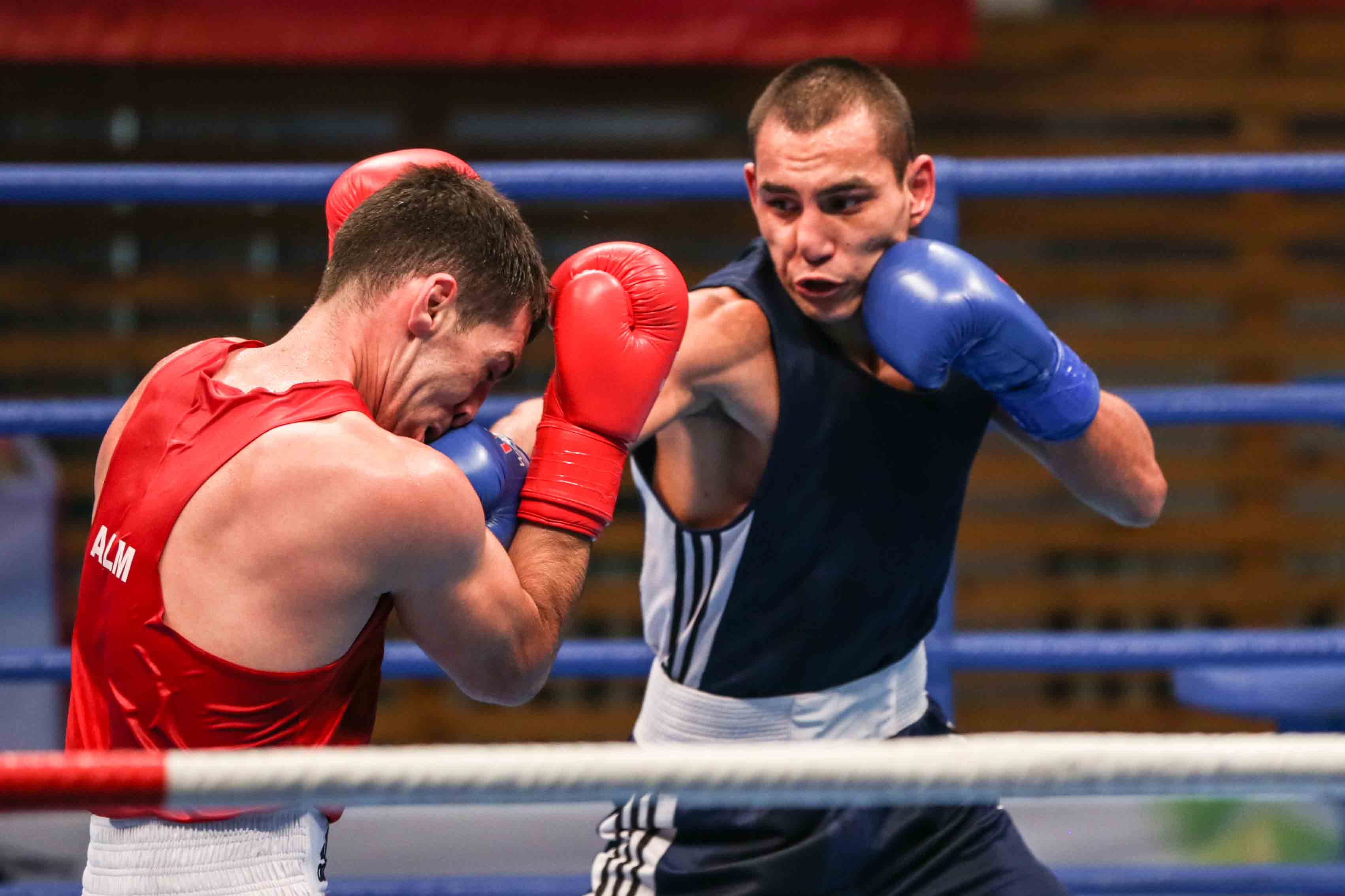 9 новосибирских боксеров сразятся за возможность участвовать на Олимпийских играх