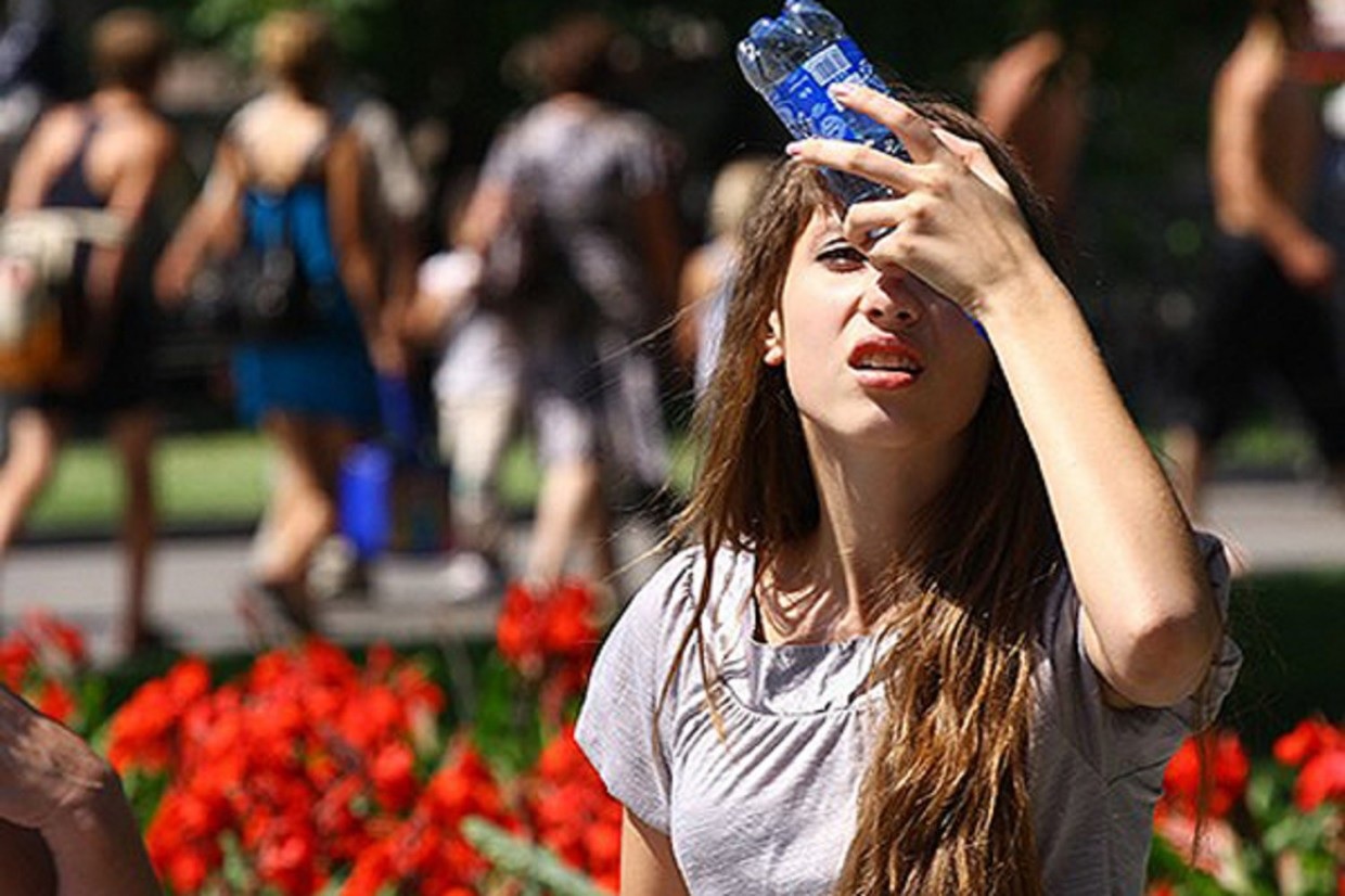 Новосибирцев предупреждают об аномальной жаре в начале июля