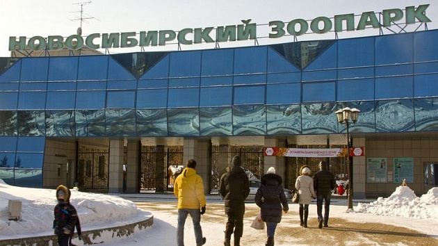 Новосибирский зоопарк приглашает инвалидов региона к бесплатному посещению