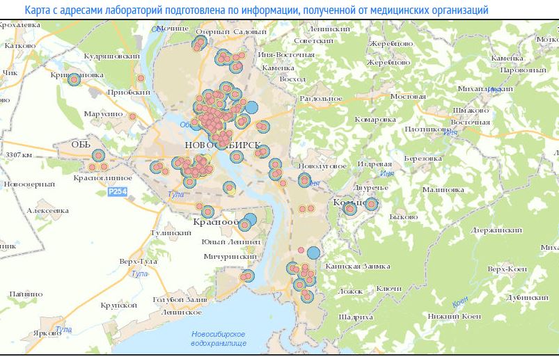 В Новосибирской области появилась интерактивная карта пунктов тестирования на COVID-19