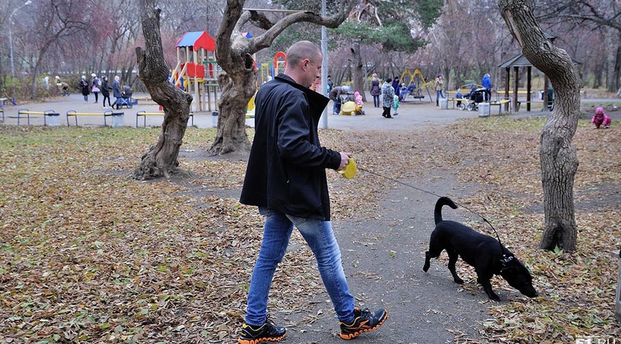 Суд обязал мэрию Новосибирска определить официальные места для выгула домашних животных