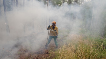 На Урале и в Сибири тушат лесные пожары, возникшие от молний