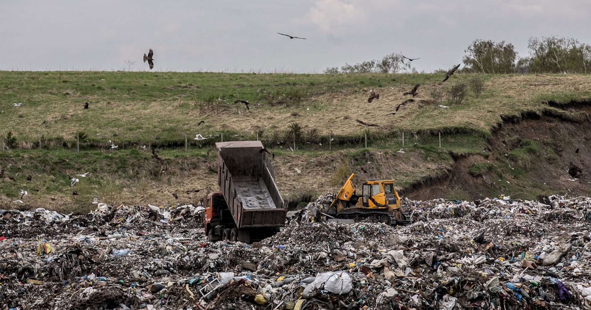 Участок для строительства мусорного полигона в Новосибирском районе еще не выбран