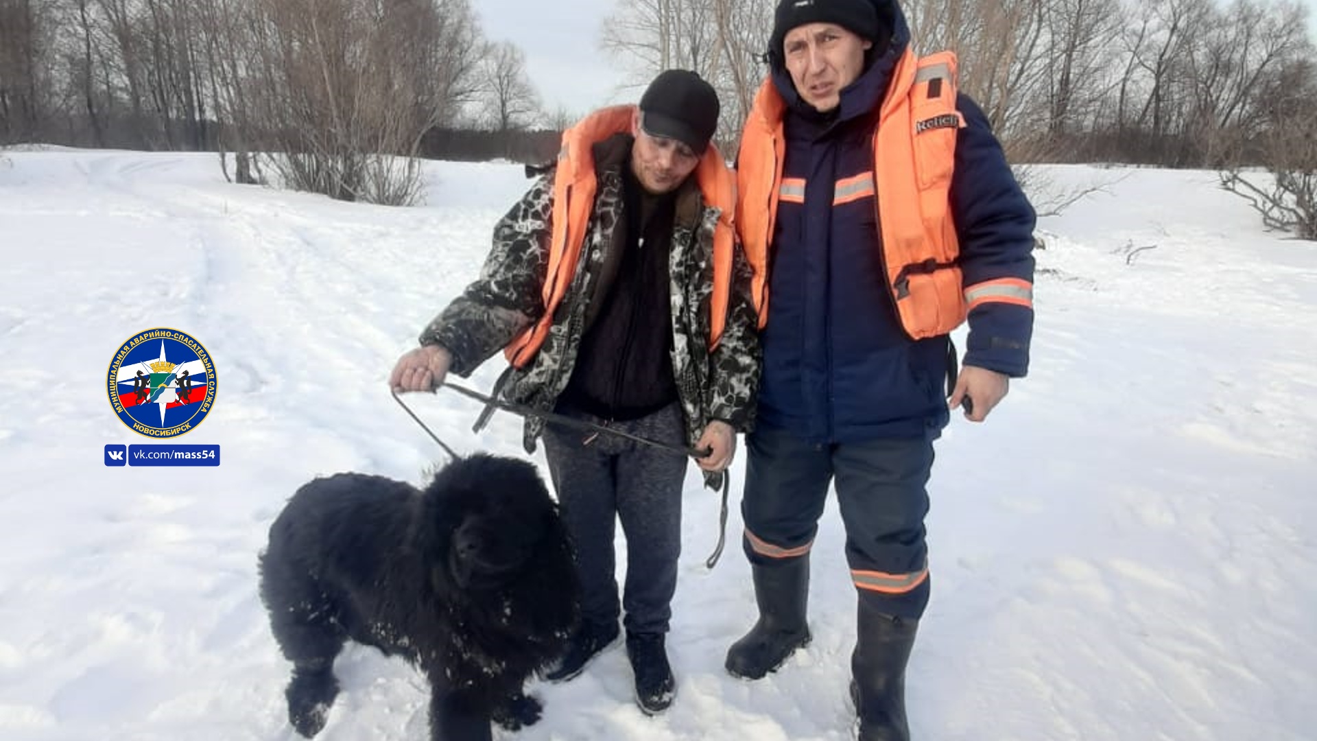 Новосибирские спасатели эвакуировали собаку с острова на берег