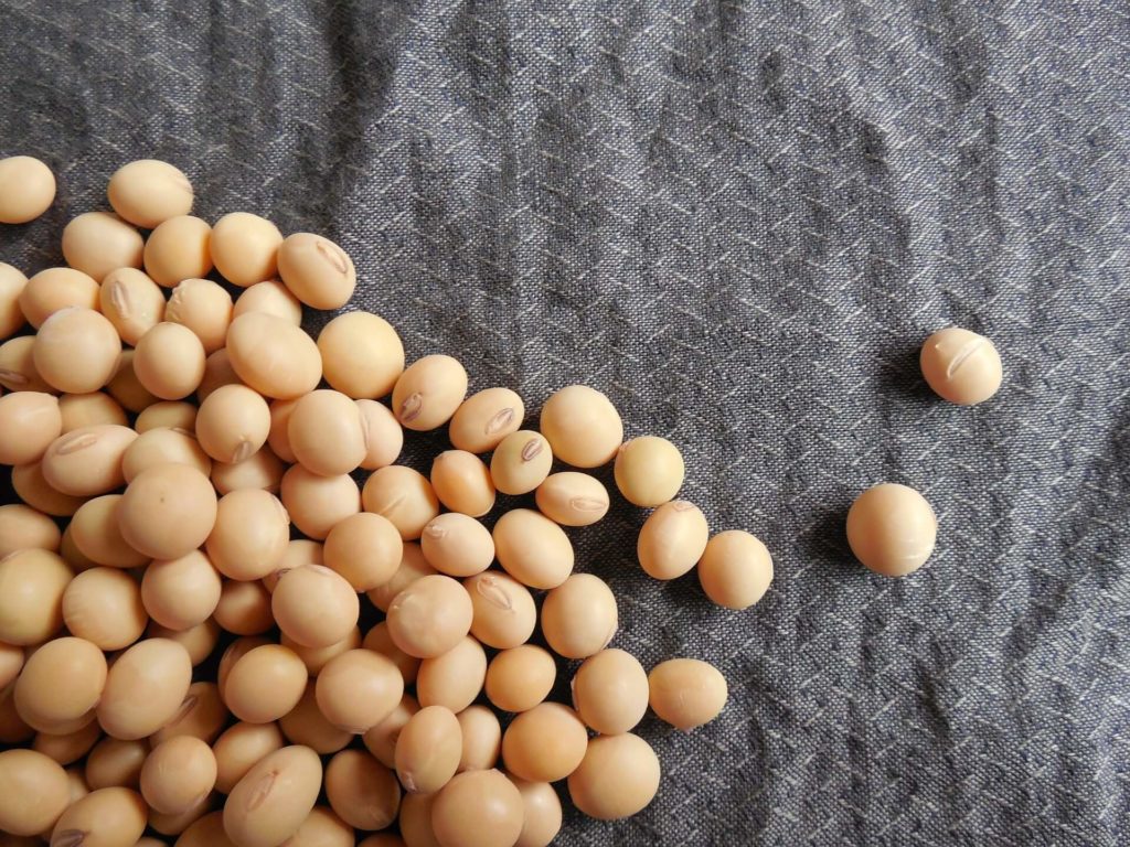 Soybeans rally in December 2