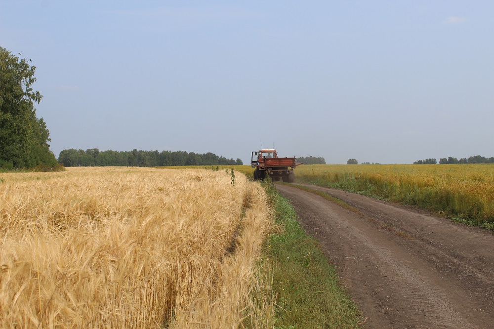 Село зерновое брянская область