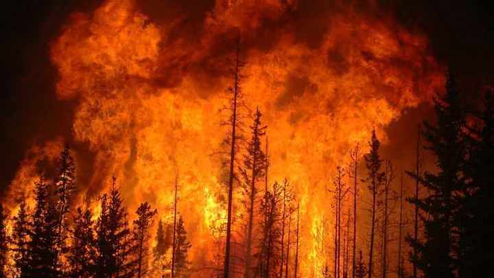 В Новосибирскую область прибыли беспилотники для борьбы с лесными пожарами