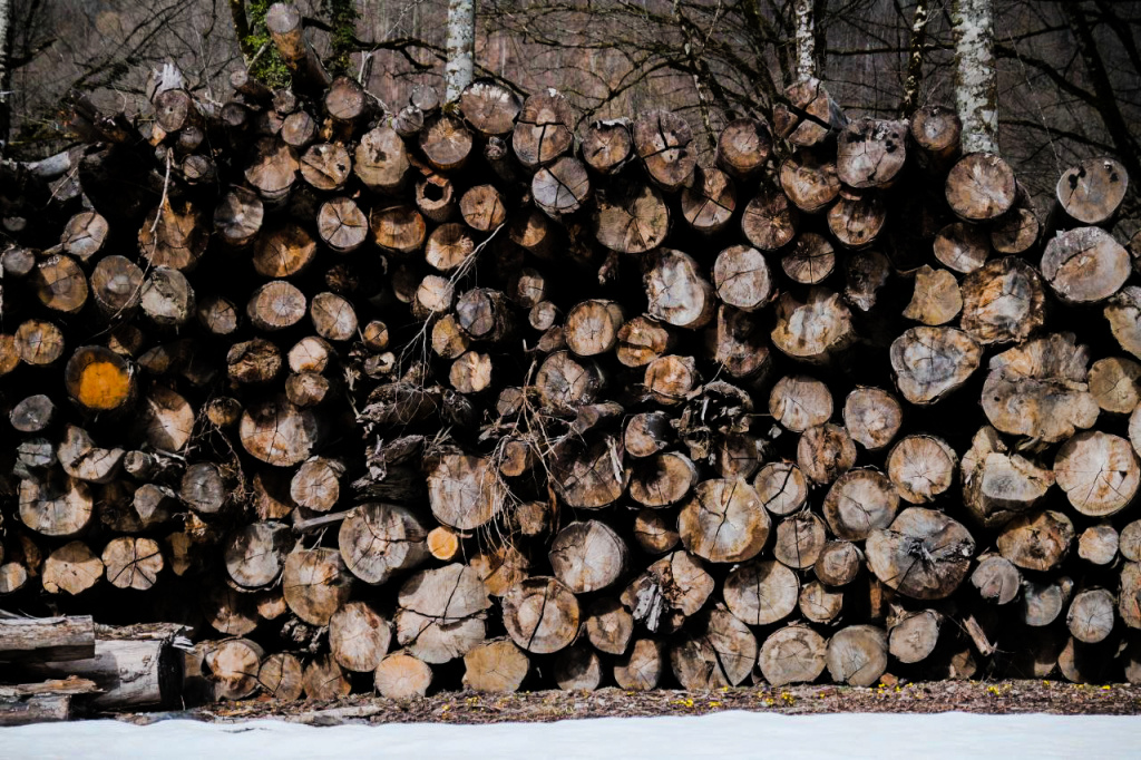 Министерство природных ресурсов определило порядок утилизации древесины на ООПТ