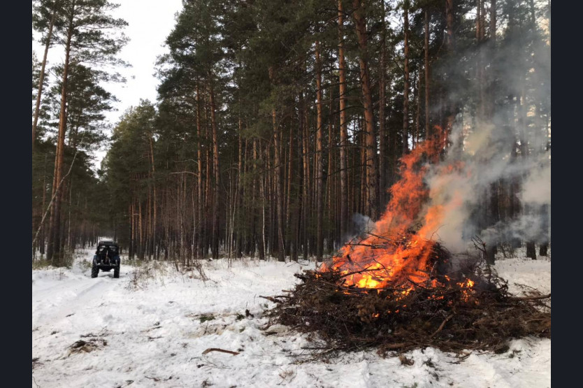 22 тысячи гектар делян и лесосек очищены в Новосибирской области