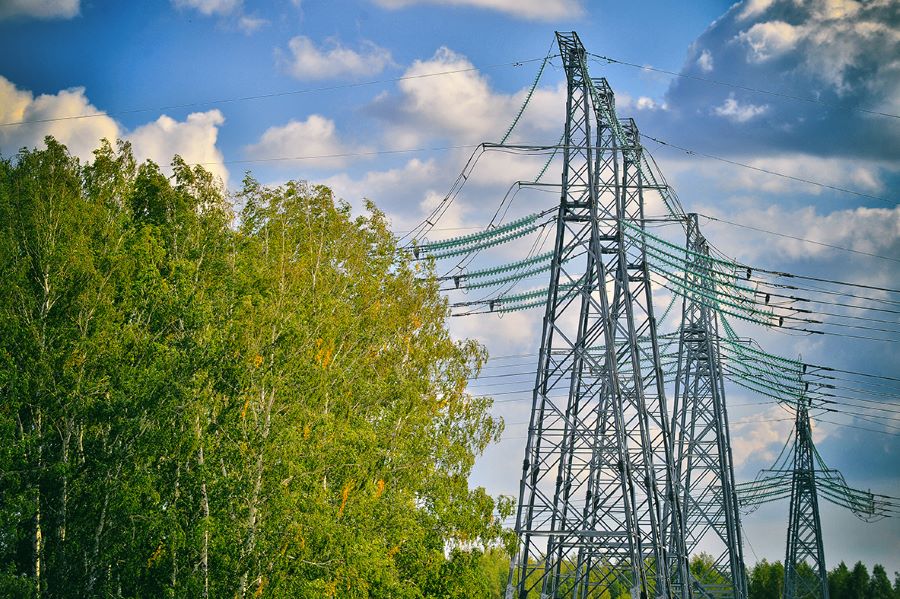 omsk lep