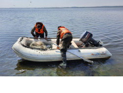 У браконьеров в Новосибирской области изъяли 18 лодок и 182 сети