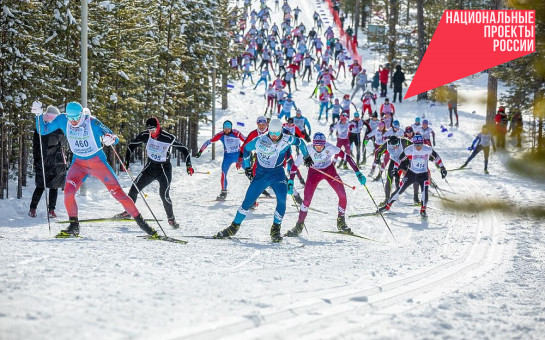 Новосибирцы готовы к старту самой массовой лыжной гонки «Лыжня России»