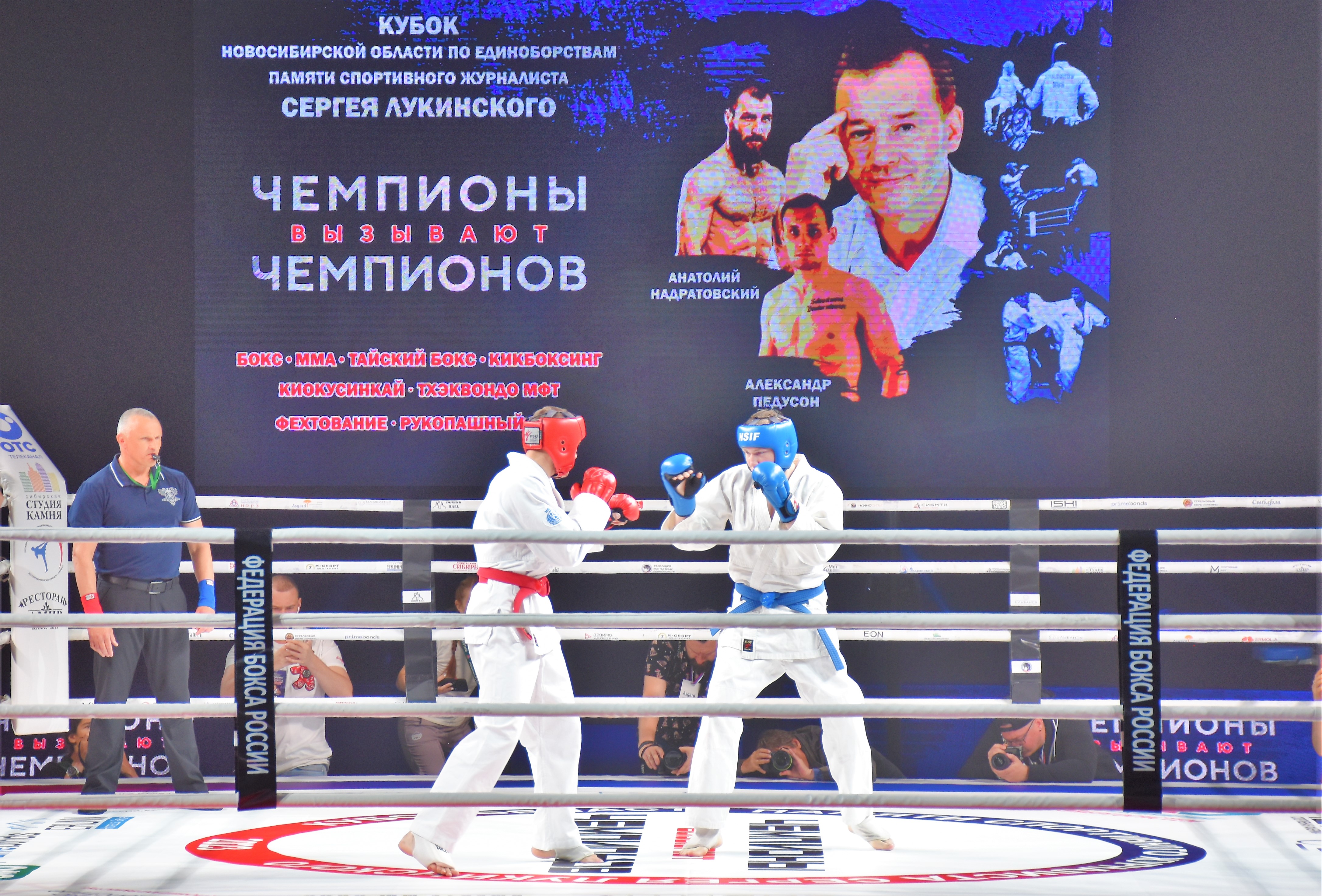 В регионе прошёл турнир чемпионов по единоборствам памяти Сергея Лукинского